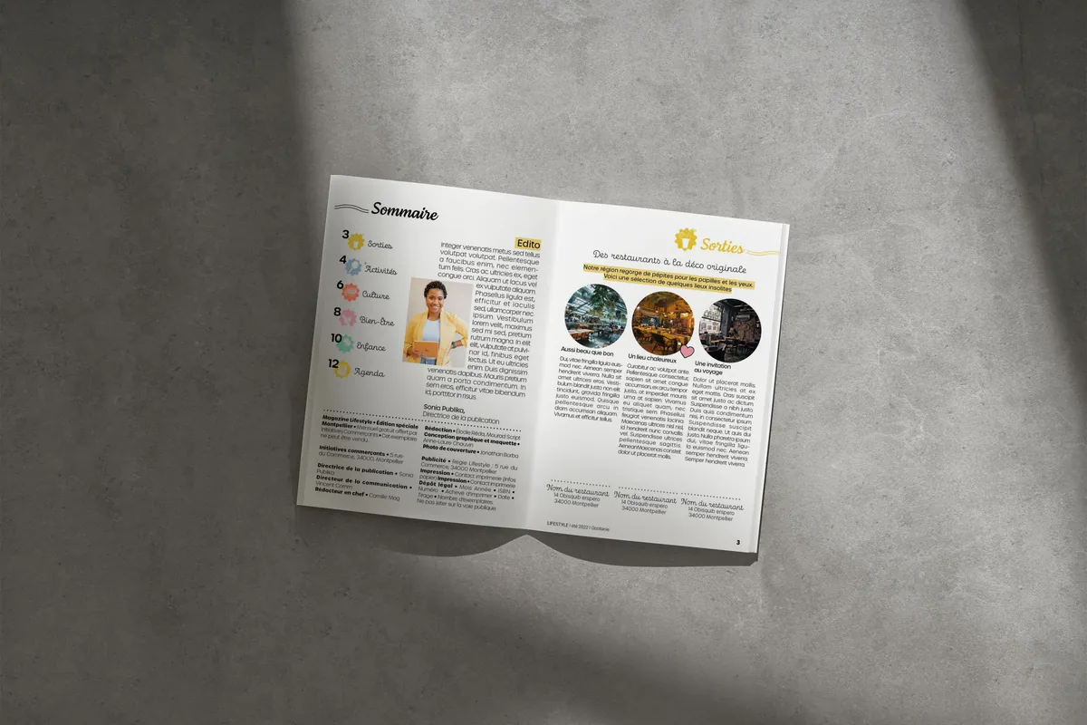 Vue d’ensemble de la mise en page du sommaire et de la rubrique Sorties