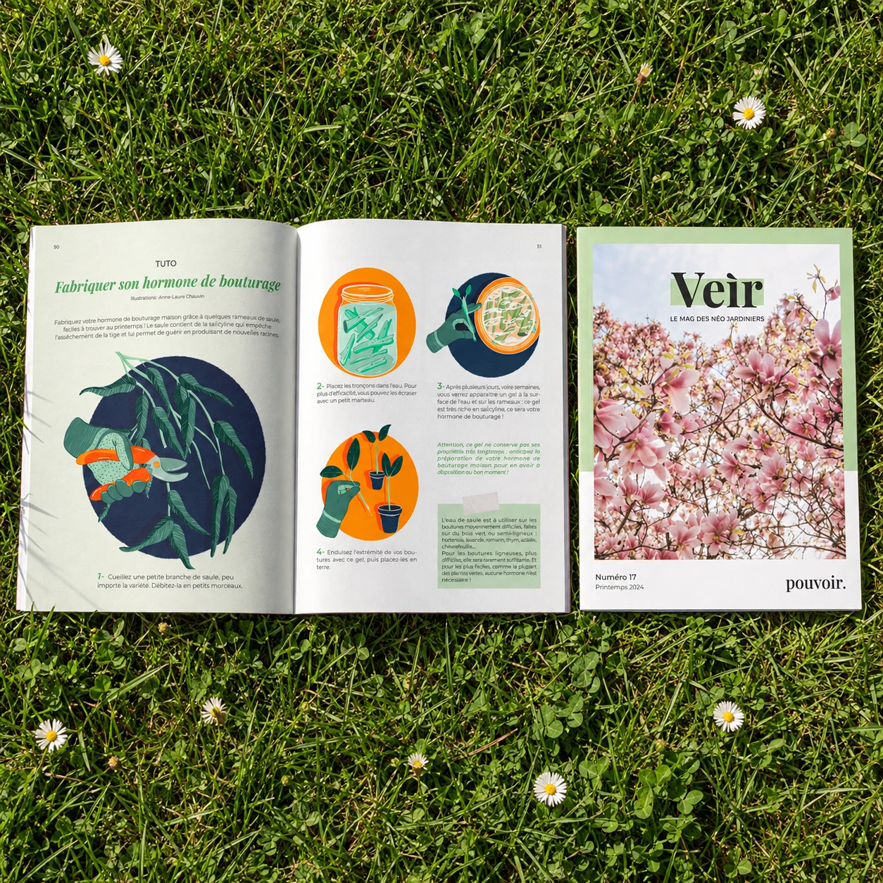 Veir Magazine ouvert sur la double page illustrée de bouturage, avec le magazine fermé à côté sur une pelouse fleurie