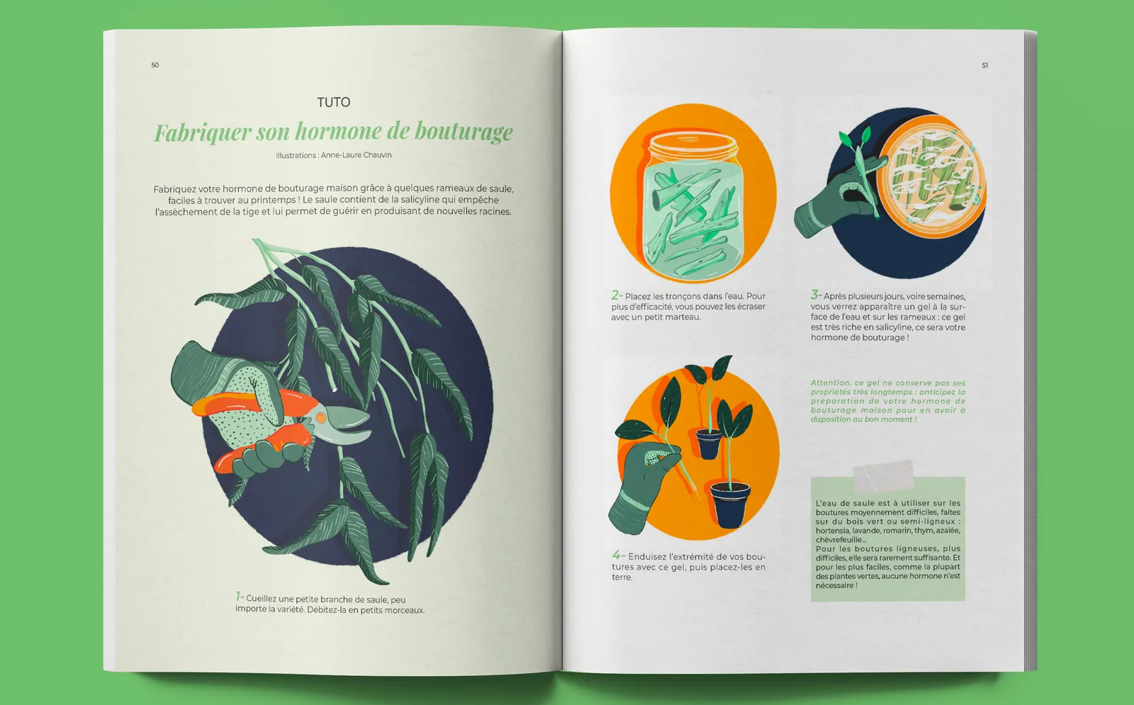 Double page de Veir Magazine, cadrage rapproché du tutoriel de bouturage